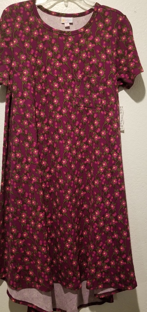 Lularoe carly dress NWT
